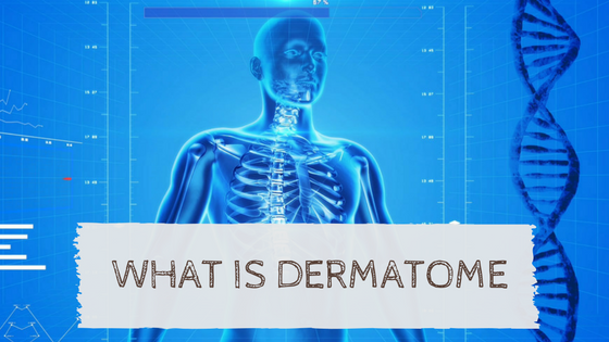 Dermatome - A New Approach To Getting Well Again